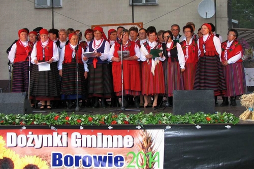 garwolin - Gminne dożynki w Borowiu